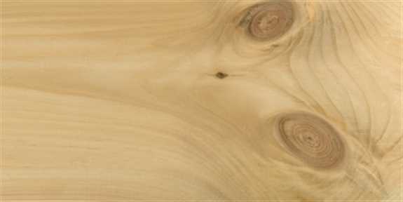 ESLP Pine 1 x 4 #2 Appearance Grade